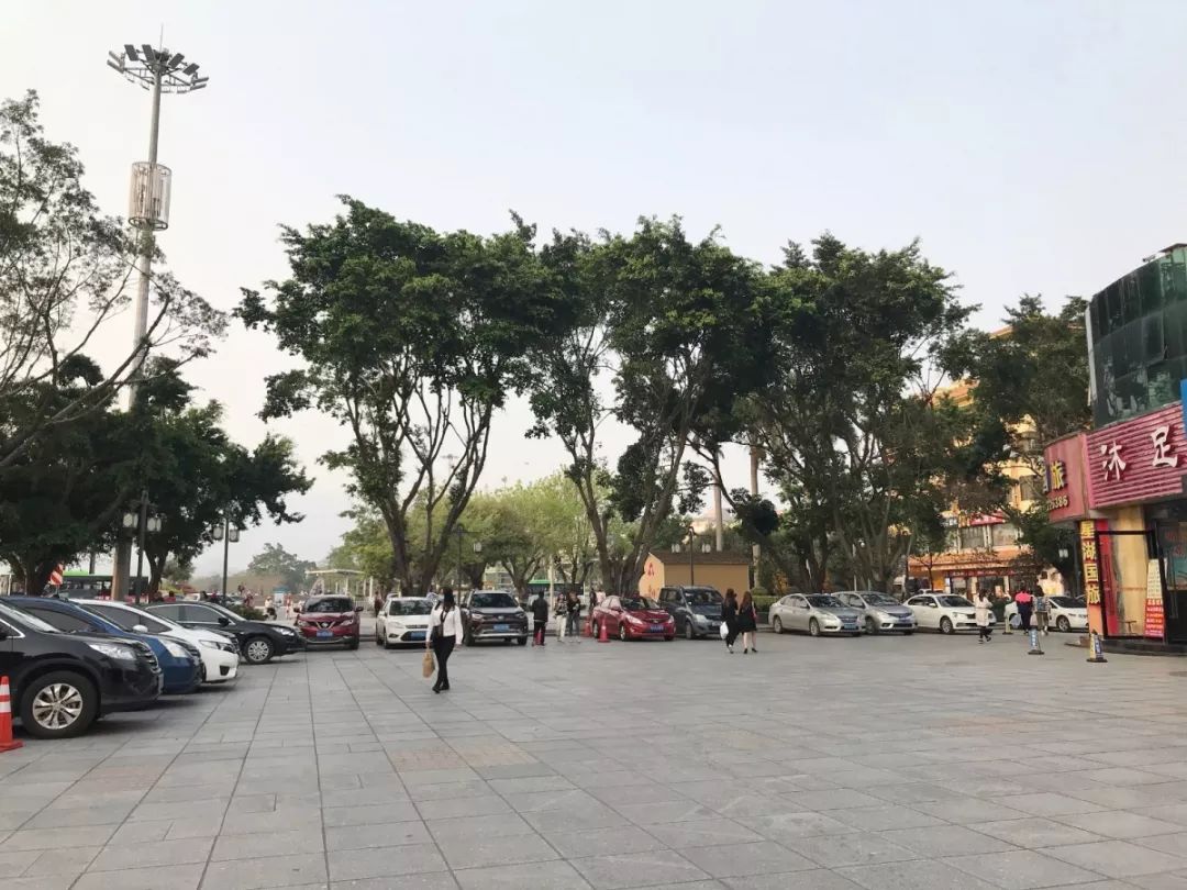 端午汽车文化节,端午汽车节活动