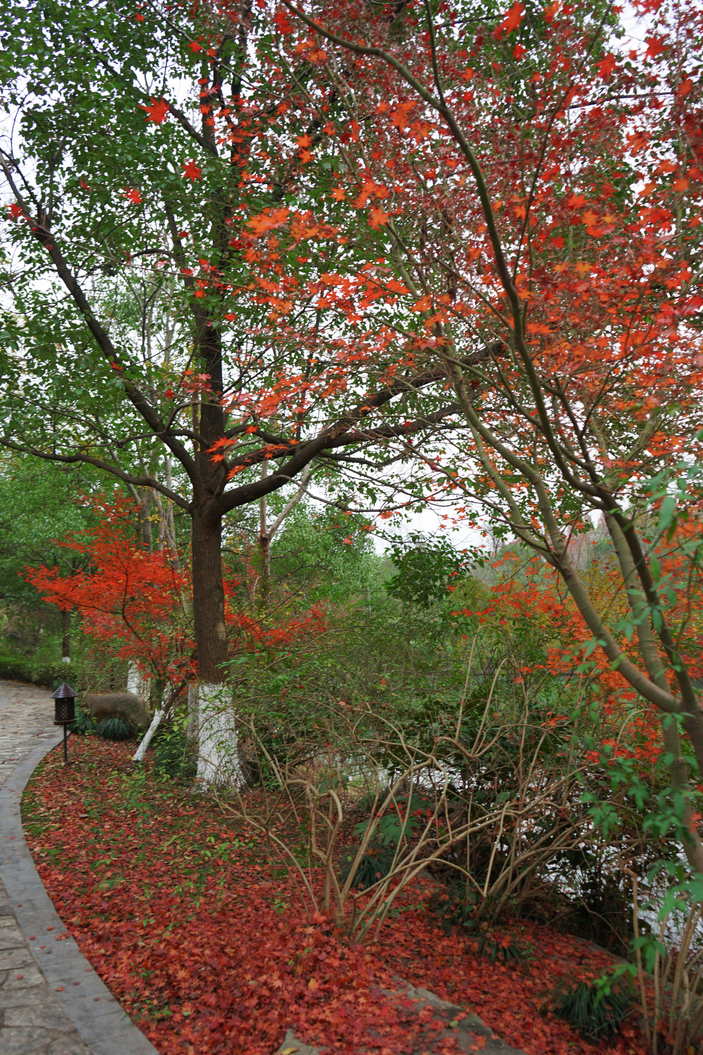 良渚君澜双人温泉,冬日暖阳泡温泉