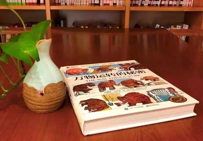 儿童dk哪些书籍值得买,dk儿童书籍推荐