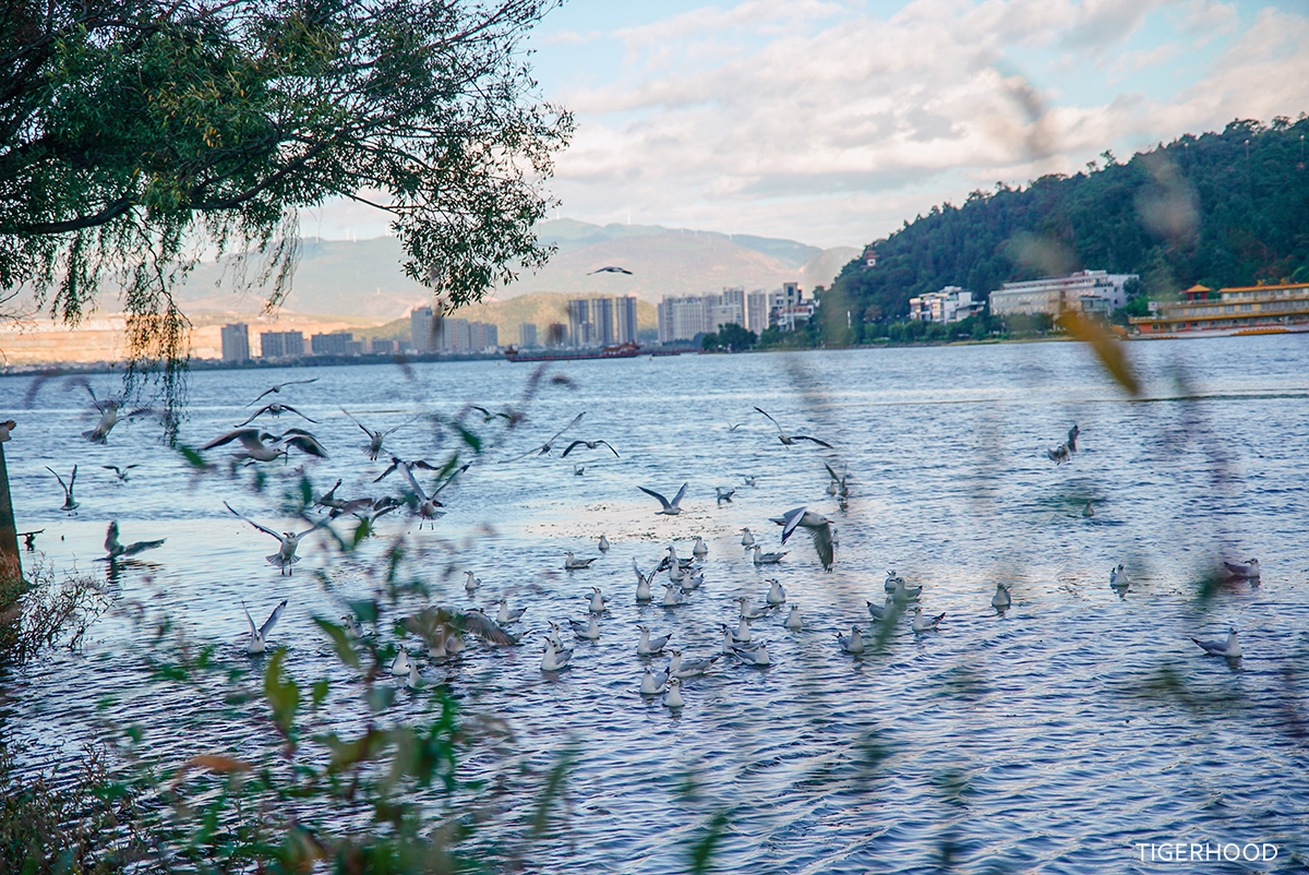 太格有物北京复古咖啡师,太格有物怎么样