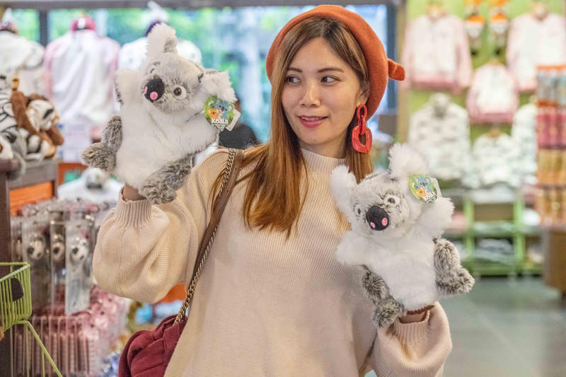 广州长隆野生动物世界旅游攻略,长隆野生动物世界攻略2-3天广州游