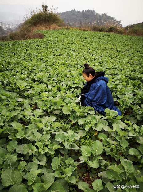 品茶之余,让我们聊一下司空图如何品诗