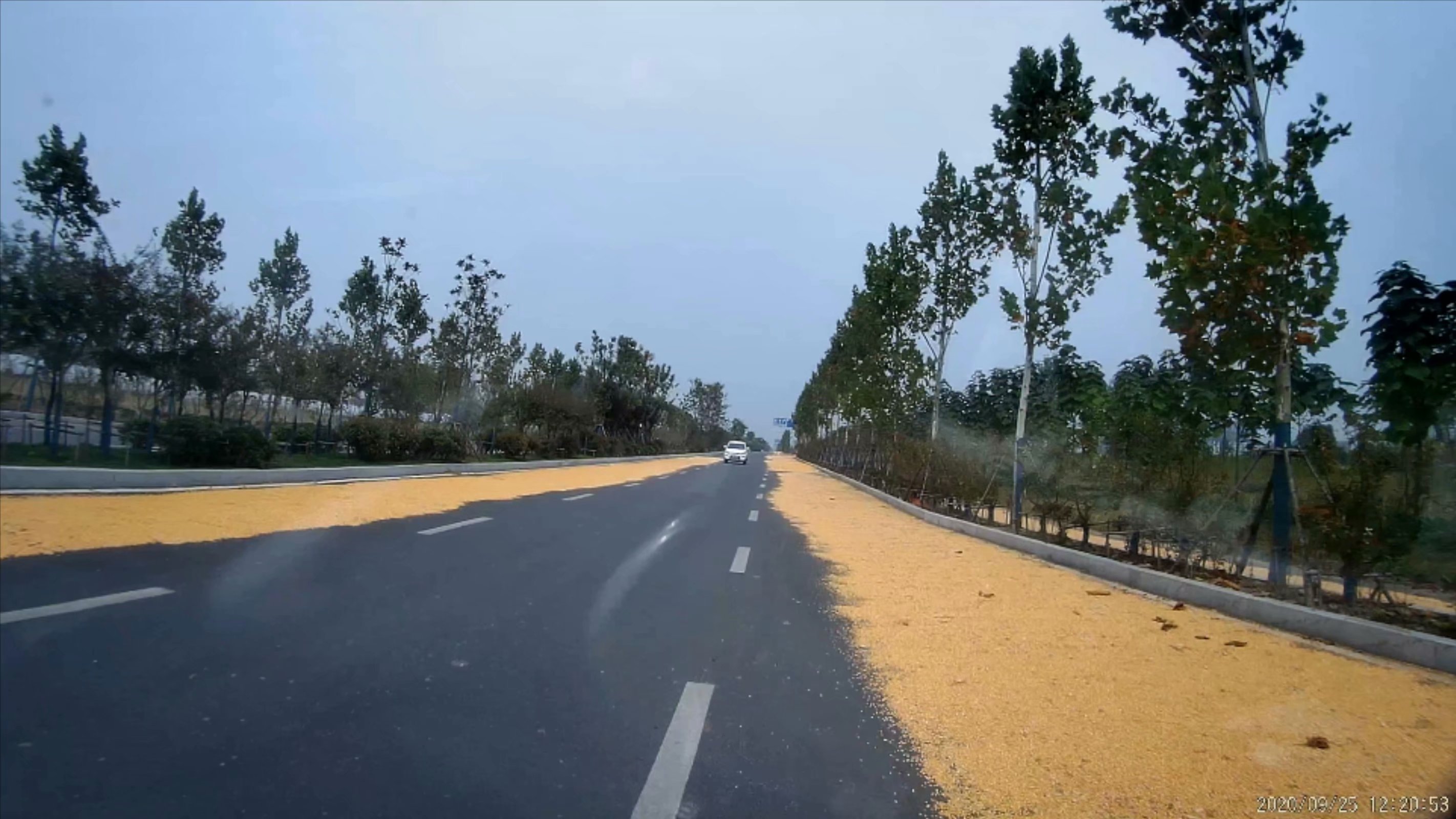 俞伯牙墓为什么在固镇,俞伯牙墓出土