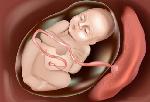 产后胎盘如何处置比较好,产后胎盘怎么办