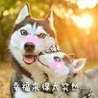 对已婚女人表白她很紧张,她想跟你表白