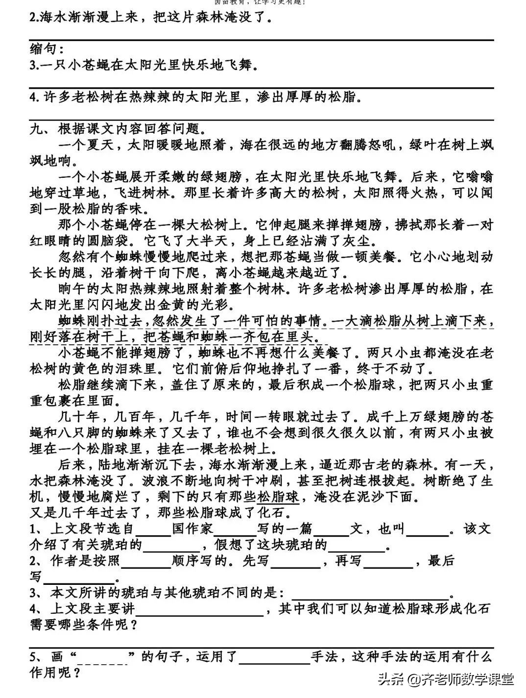 四年级下册语文第二单元琥珀预习,四年级下册琥珀主要内容100多字