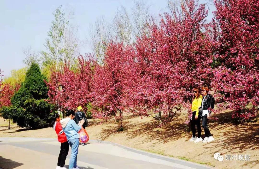 锦州露营自驾游推荐,锦州五一踏青露营