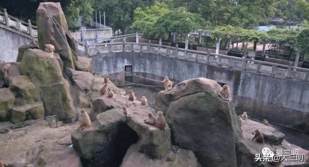 三明麒麟山公园鸟瞰,麒麟山公园三明门票