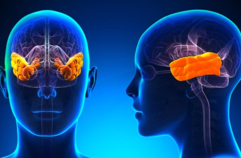 看了很多书却记不住,看了那么多书为什么还是不好