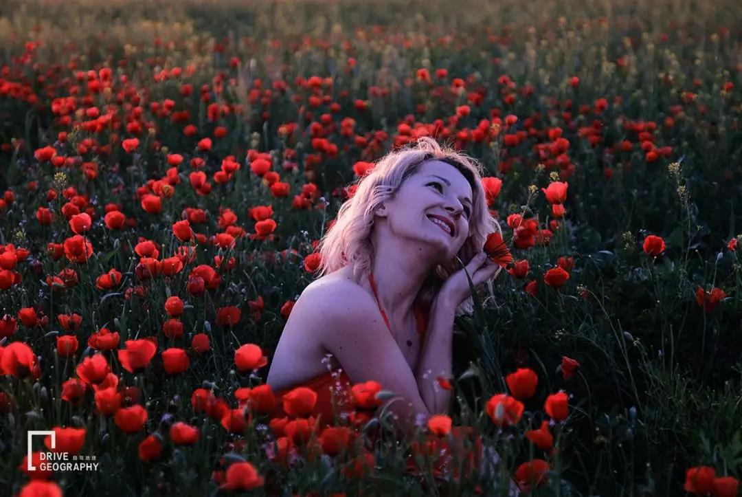 中国牌照车在国外自驾游,开中国牌照车去外国