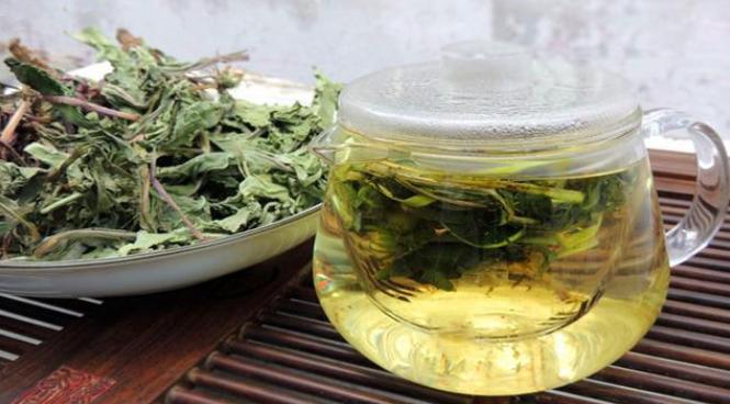 自制蒲公英茶为什么要杀青,蒲公英晒干了就可以直接泡水吗