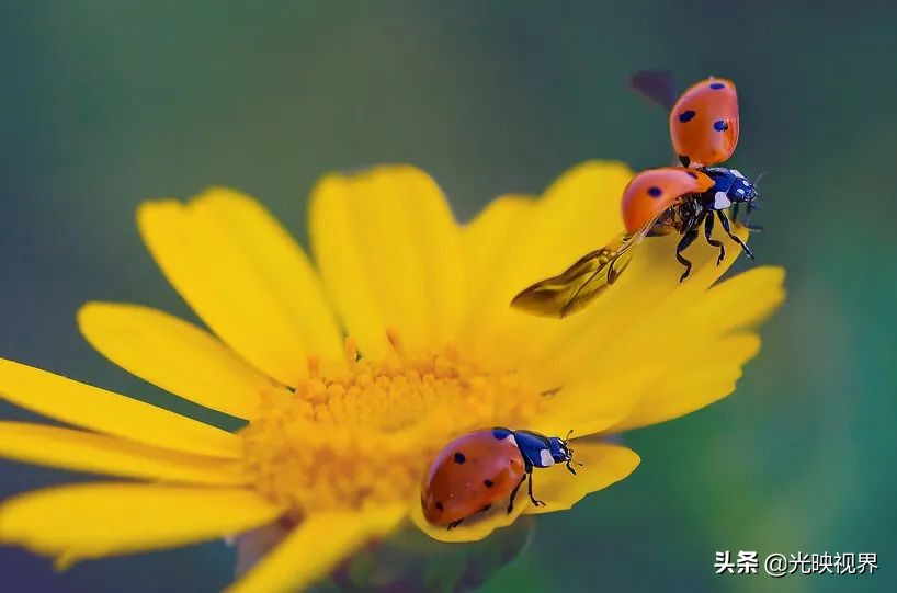 捕捉瞬间摄影,捕捉精彩瞬间定格最美一刻