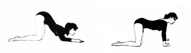 平胸怎么让胸部增大,告别平胸小胸3个方法