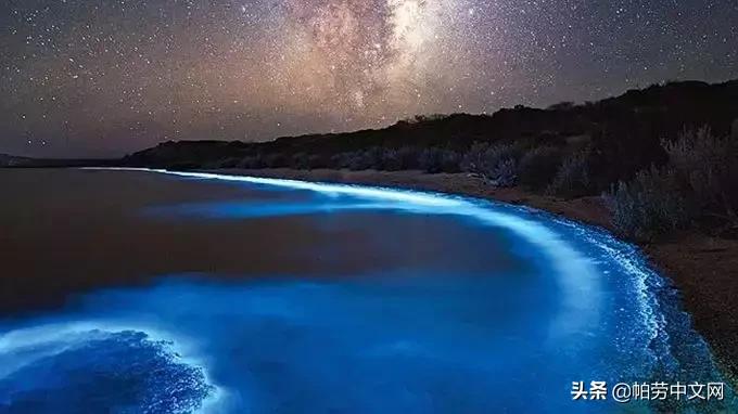 帕劳旅行水母湖,帕劳水母湖海岛