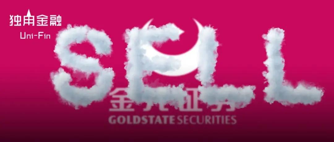 雅百特被发现财务造假事件,金元证券最新进展