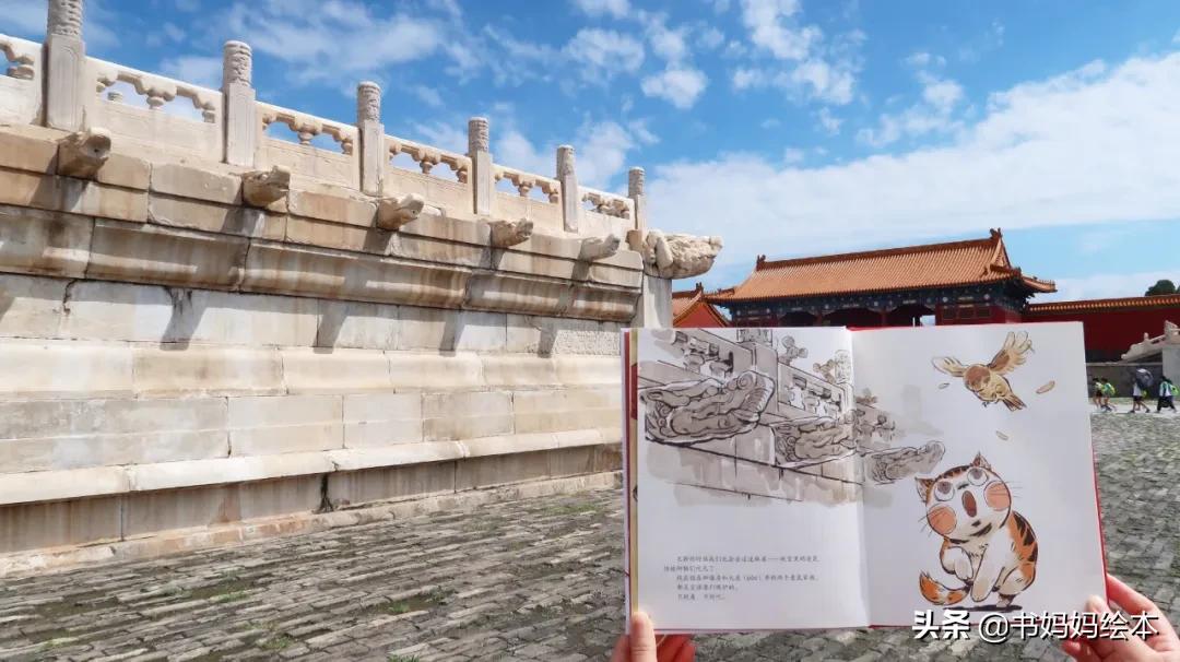 故宫御猫夜游记原创,北京故宫御猫夜游记