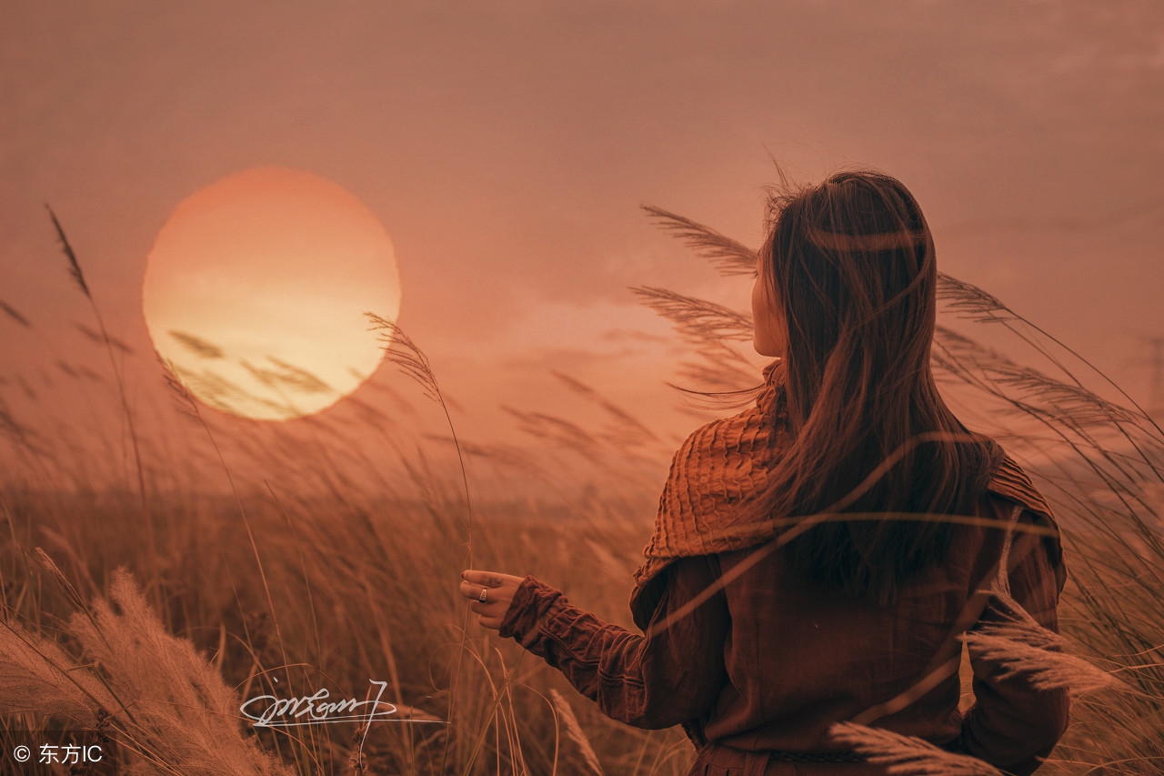 梵唱·泰戈尔——年轻时，我的生命有如一朵花