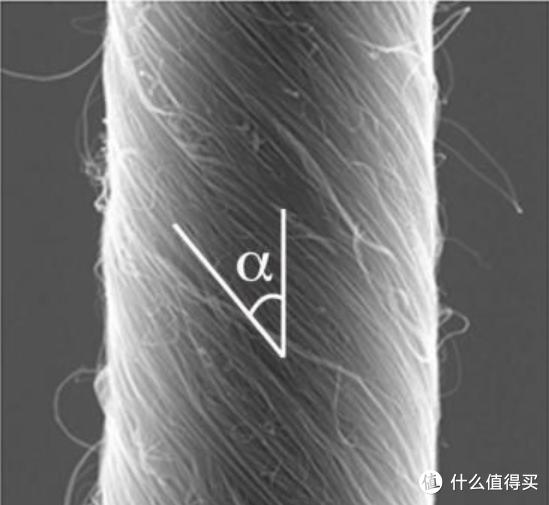六款热销经典款T恤横向评比，哪款才是你的最爱