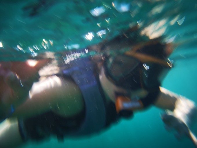 蛋岛蜜月岛,蜜月岛皮皮岛蛋岛一日游