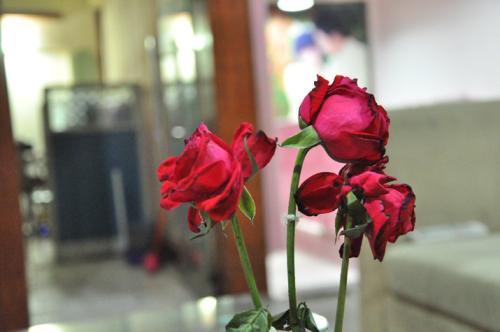 鲜花怎么保养成干花,鲜花变干花如何能保持原色