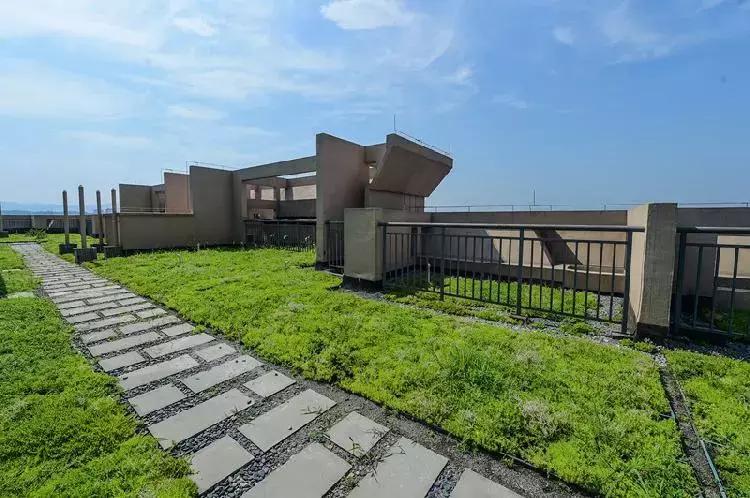 重庆悦来片区最新项目,重庆悦来新城有发展前途吗