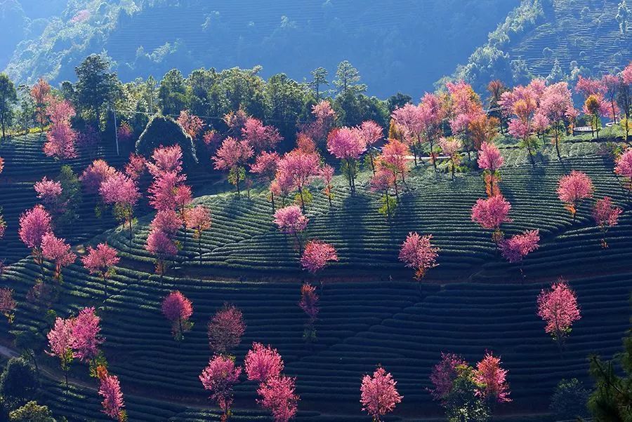 秋季人少景美的小众旅行地,最清静优雅的旅游之地