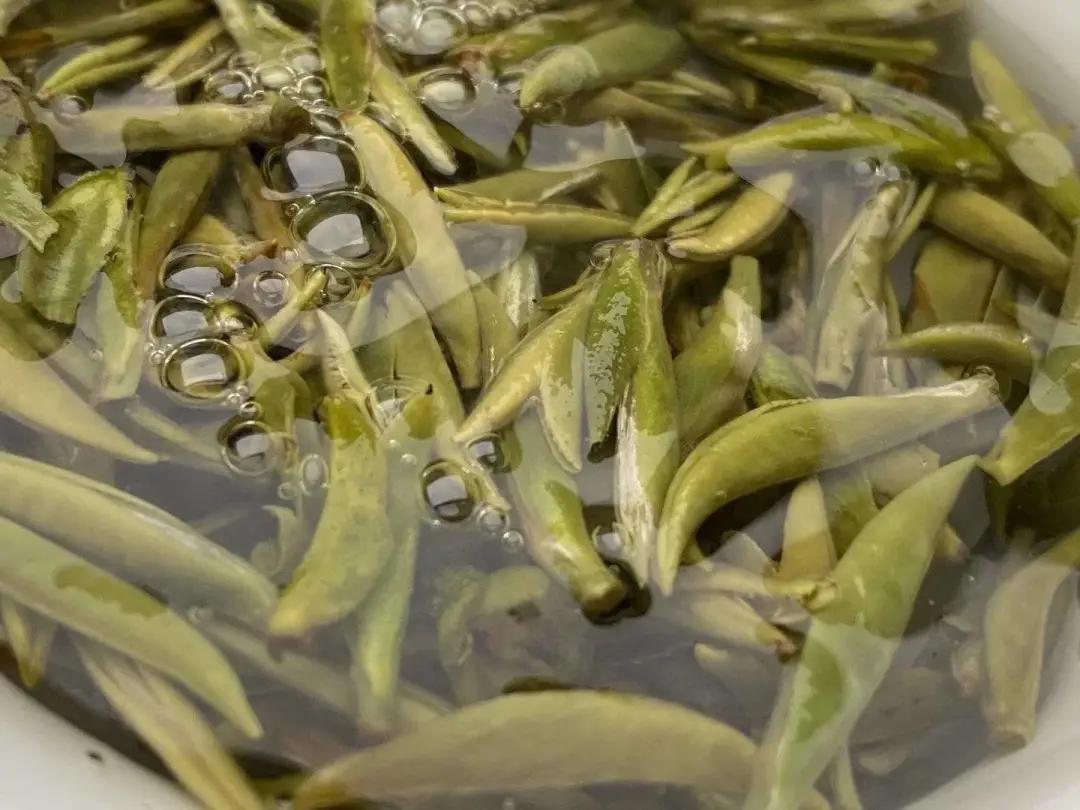 好喝的白茶白牡丹,好喝的白茶有哪些功效