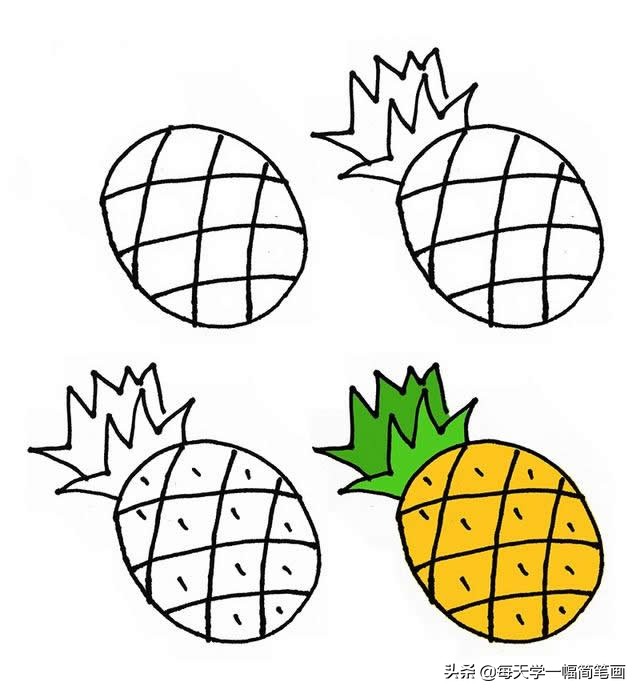 超简单水果简笔画初学者零基础,秋天成熟的水果有哪些简笔画