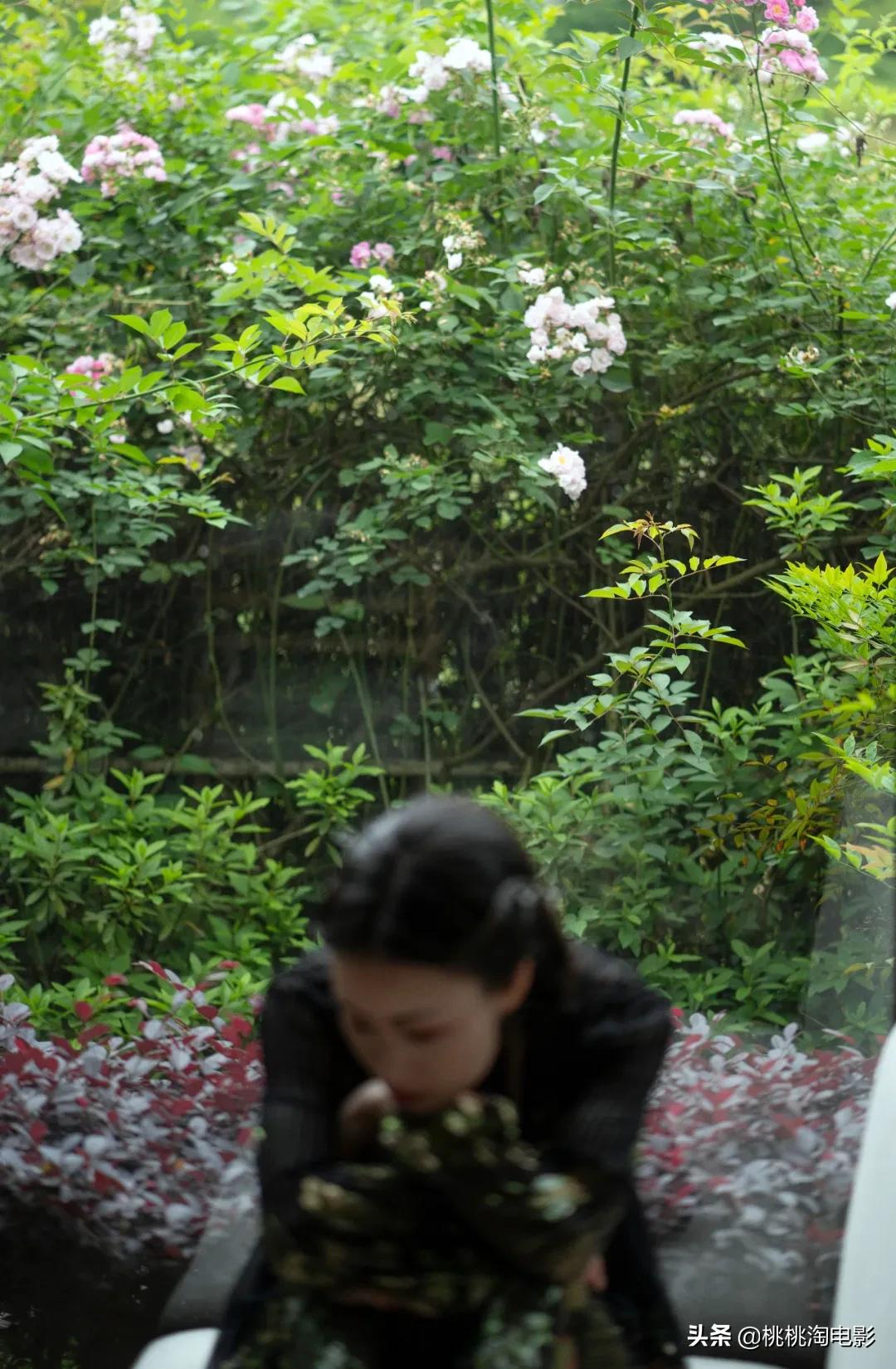 倪妮绝美混剪视频,倪妮刘亦菲写真