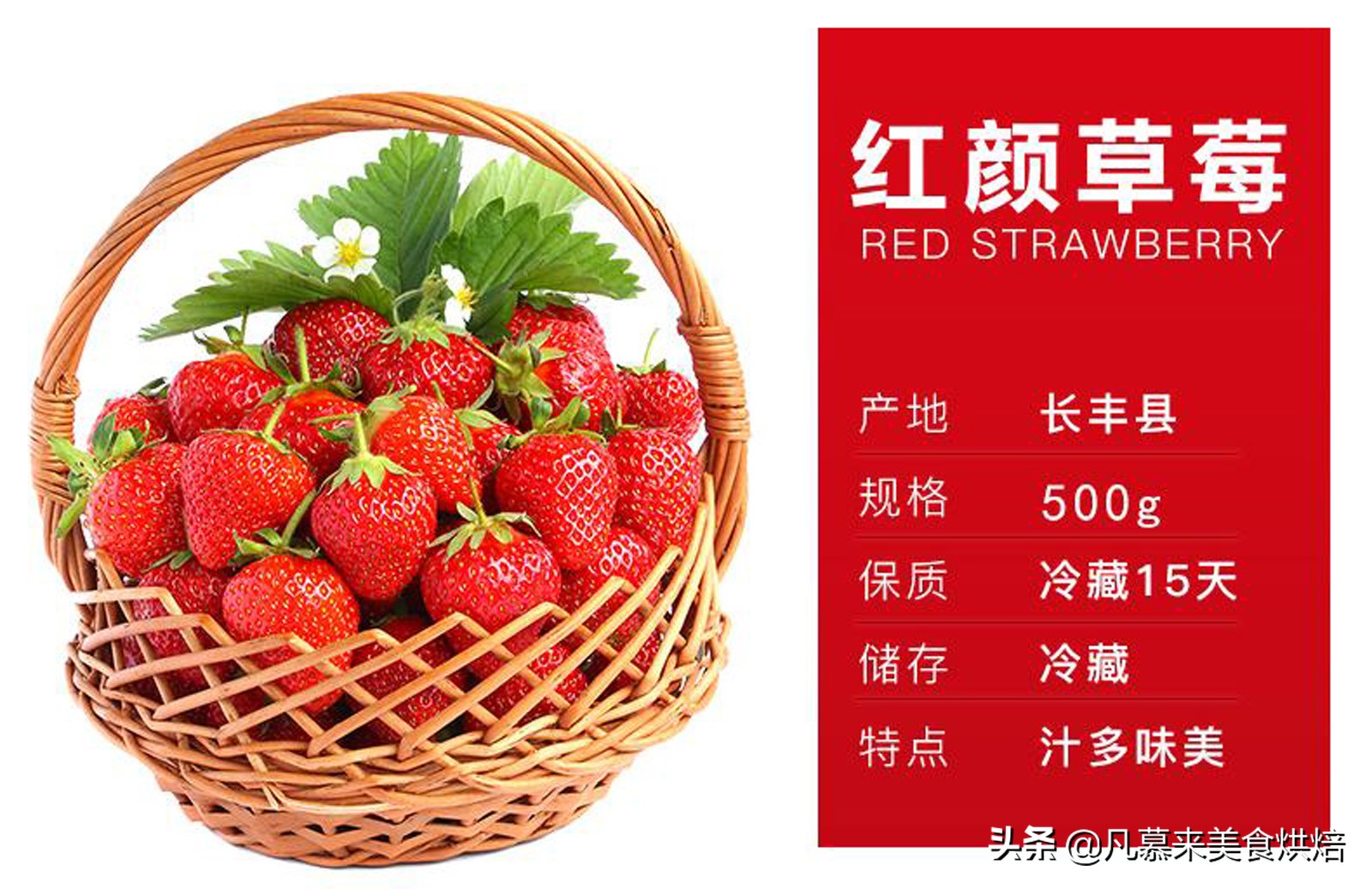 草莓哪个品种最好吃又好种,2018产量最好最大的草莓品种