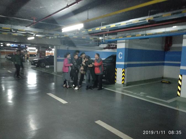 净网2019安全吗,净网2019明码标价