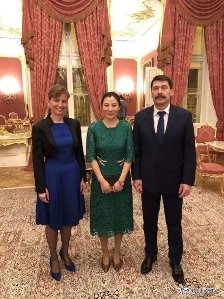 匈牙利队员辱华事件,匈牙利运动员辱华事件