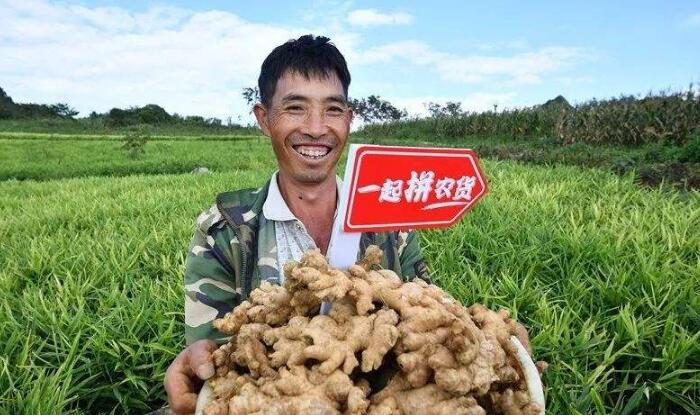 拼多多被商家污蔑怎么办,拼多多被人恶评怎么办