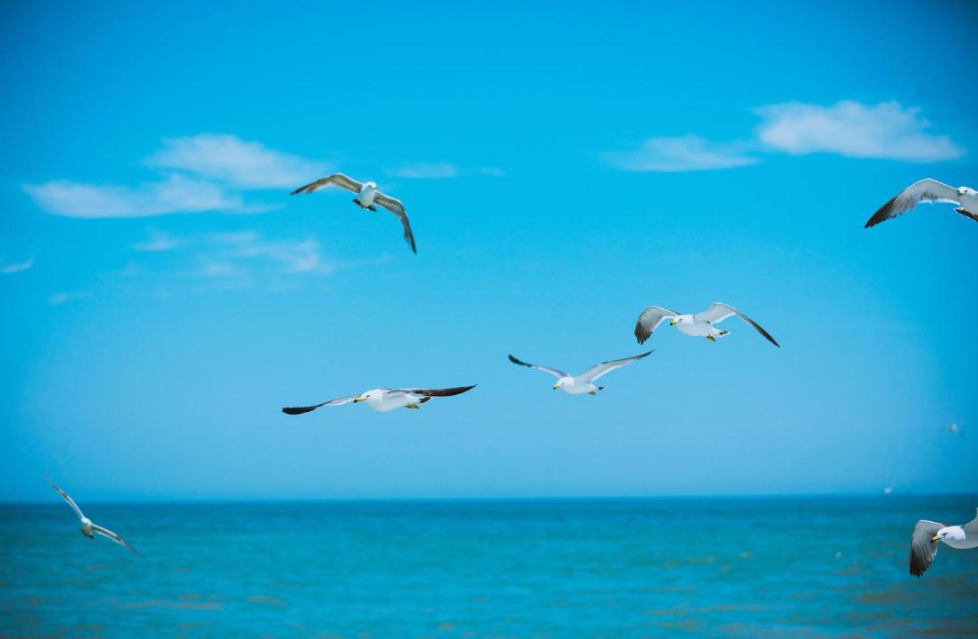 山东宝藏海岛旅游攻略,山东最值得去的小岛旅游攻略