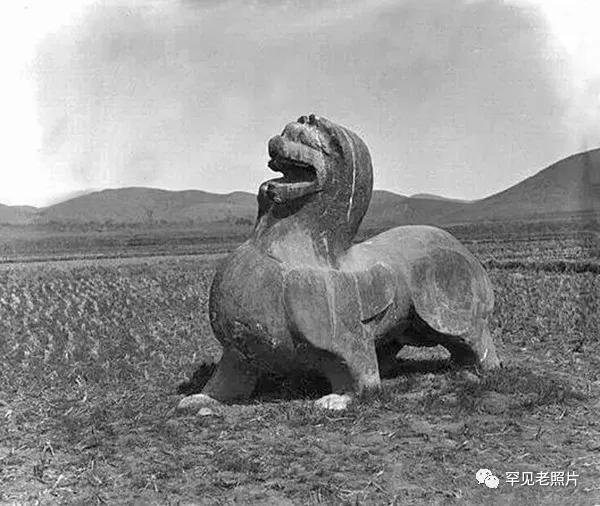 南京相隔百年的照片,南京城景对比图