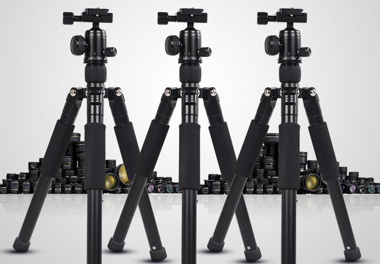 2020年尼康全画幅单反有哪些,尼康最新全画幅单反