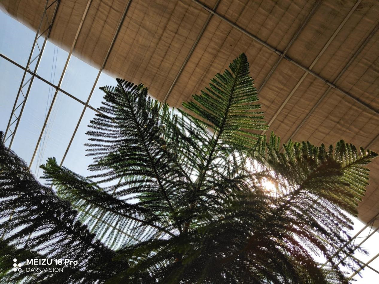 魅族18和魅族18pro买哪个好,魅族18s18pro与18x区别