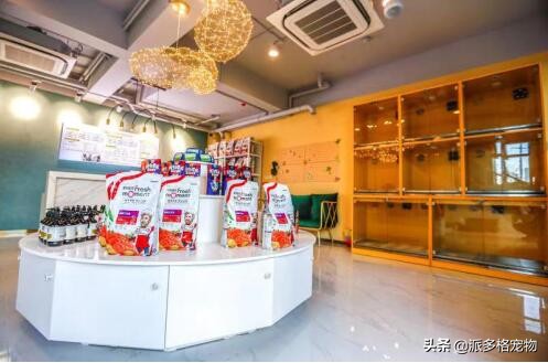 宠物店加盟派多格,派多格加盟靠谱吗