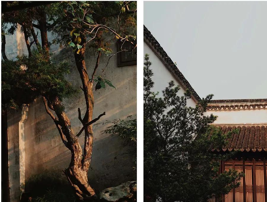 如何正确搭配显高又显瘦春游穿搭,一身非常时尚的穿搭既显高又显瘦