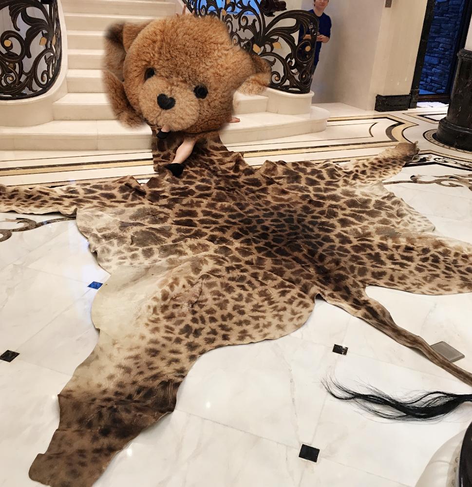 十大珍稀皮料,珍稀皮革