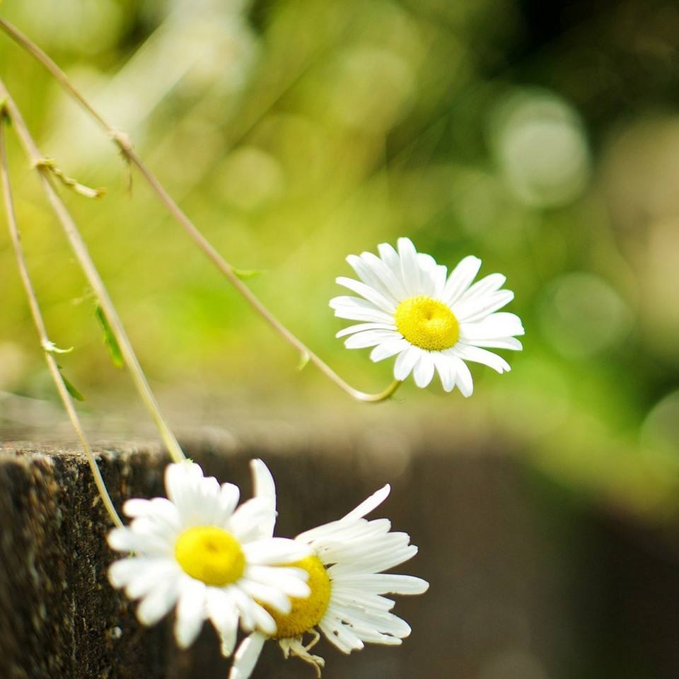 美文、谚语、哲理成语已集齐，背下来给作文增彩