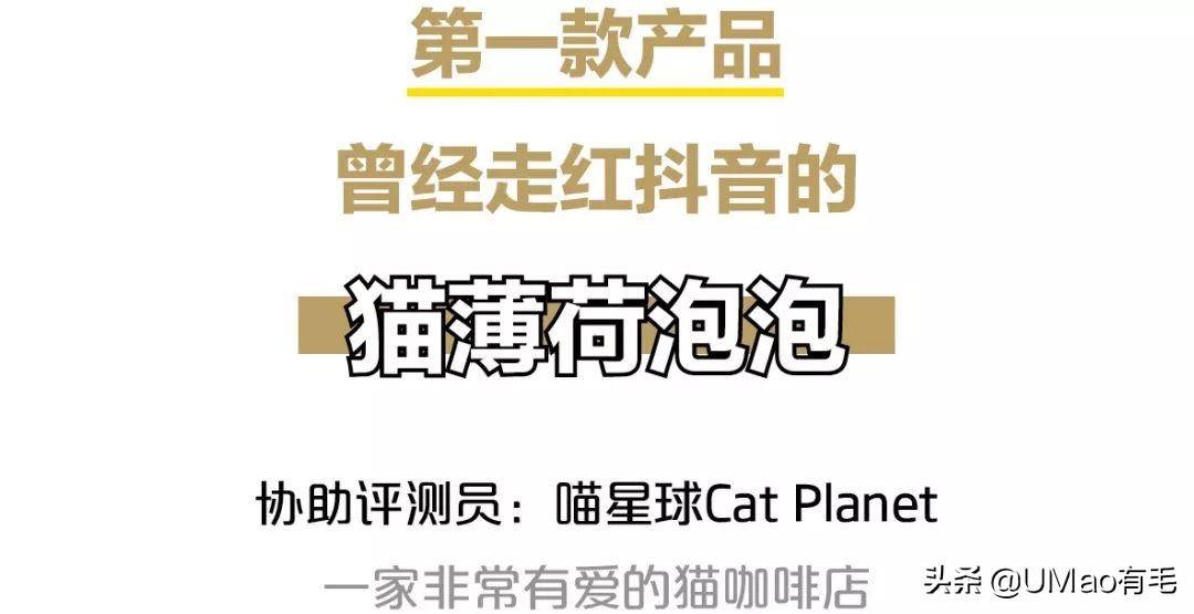 我们败了两款新型“猫*品毒**”孝敬主子，你猜哪种比较受猫欢迎？