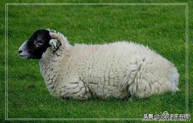 英国湖区景点排行榜,英国旅游推荐海边旅游景点