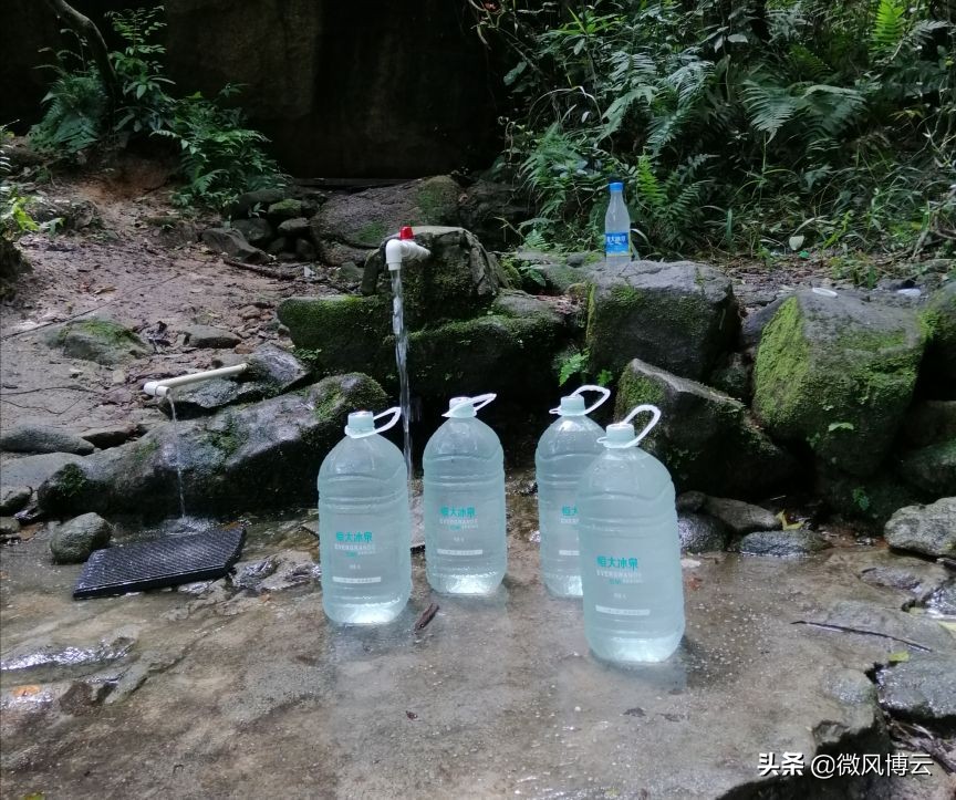 深圳凤凰山森林公园游玩攻略,深圳凤凰山森林公园游记