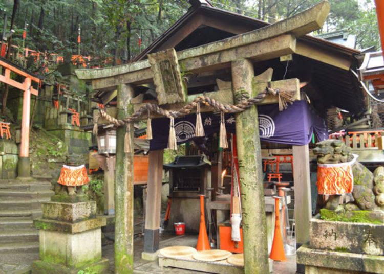 无论哪里都是朱红色鸟居的“祈愿的参道”！带你寻访伏见稻荷大社