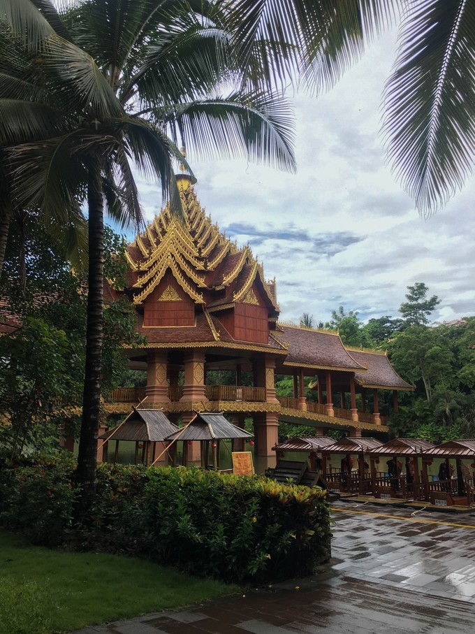 云南不止有风花雪月的苍山洱海,去西双版纳感受傣族民族风情