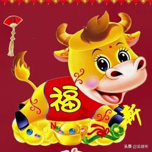 闵生裕先生辛丑说牛