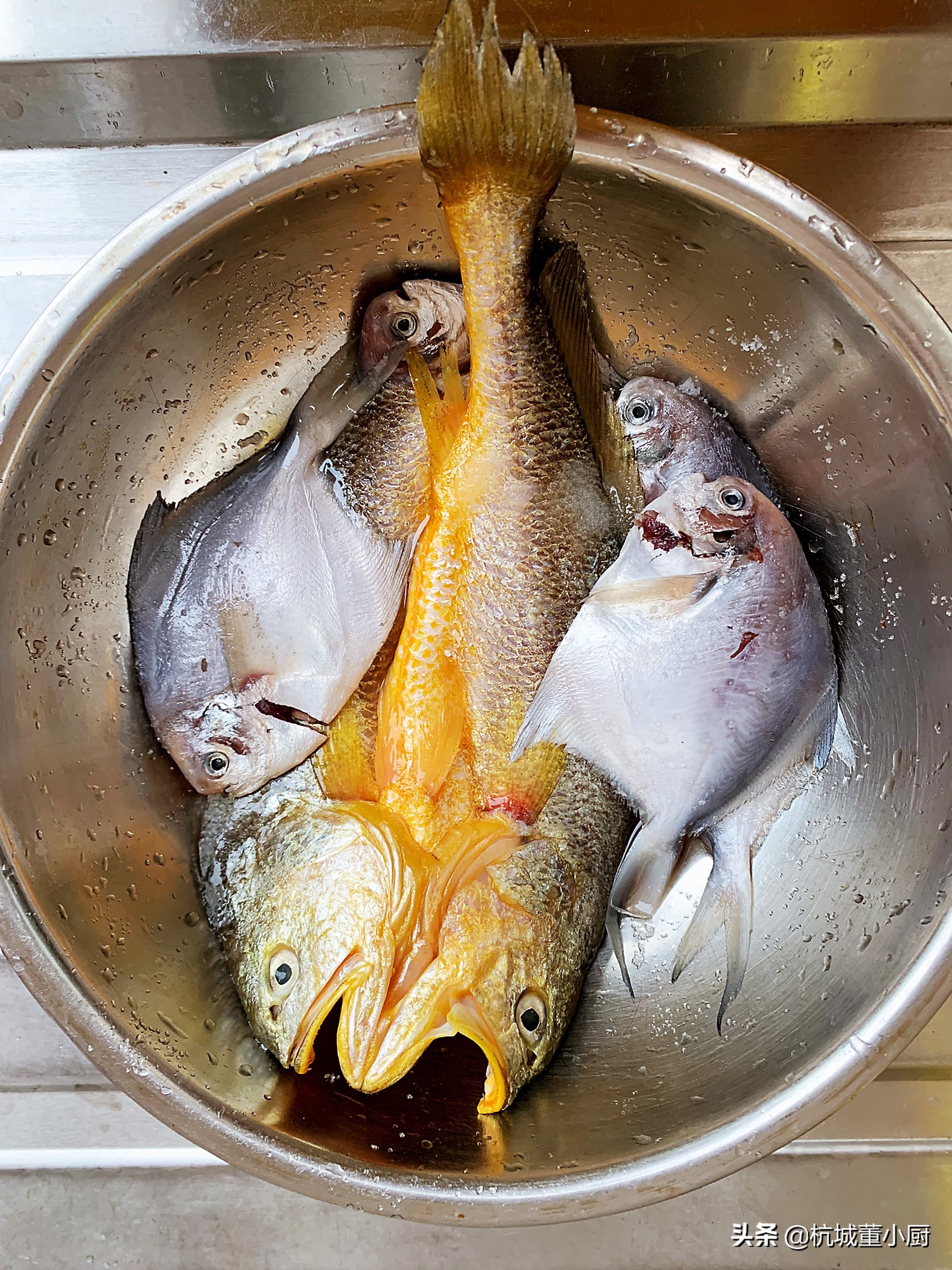 鲳鱼好吃还是黄花鱼好吃,黄花鱼和鲳鱼哪个更适合清蒸
