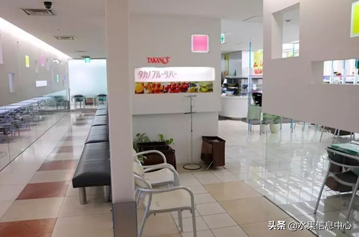 吃水果自助餐,吃水果的自助