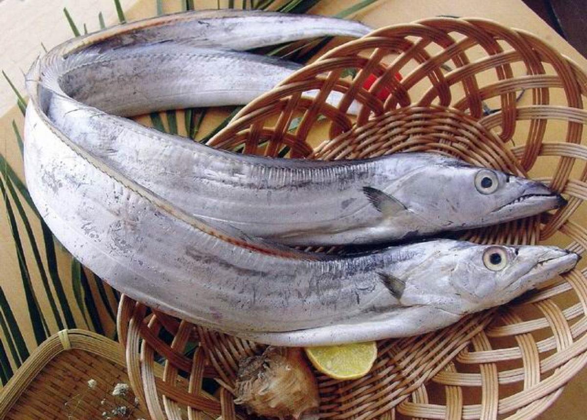 买带鱼要分清黄眼和黑眼,带鱼大眼睛的好还是小眼睛的好